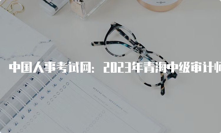 中国人事考试网：2023年青海中级审计师报名网址