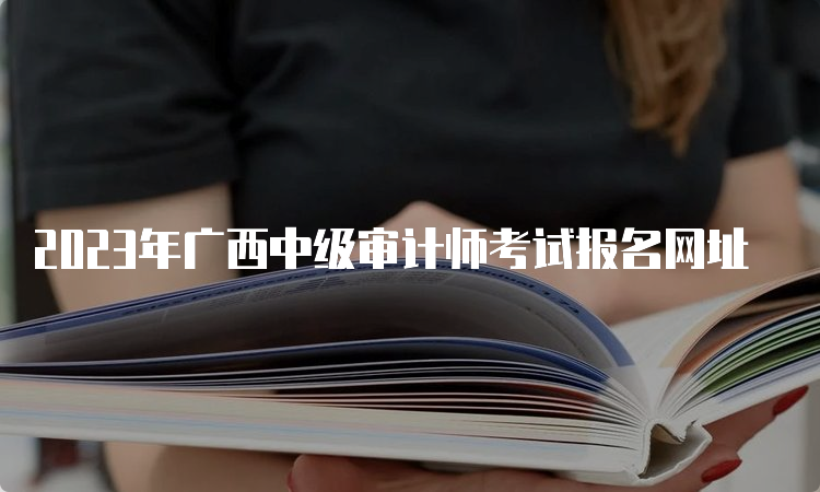 2023年广西中级审计师考试报名网址