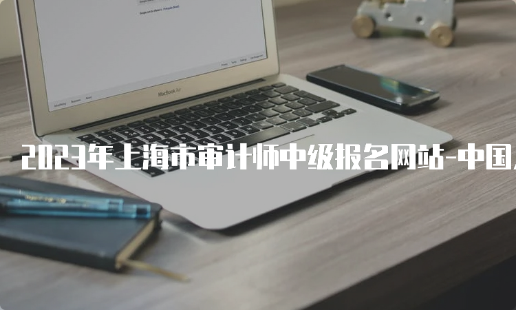 2023年上海市审计师中级报名网站-中国人事考试网