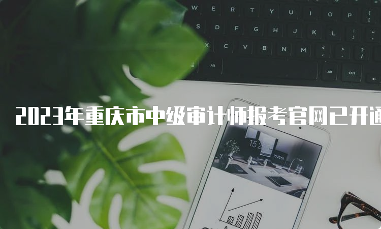 2023年重庆市中级审计师报考官网已开通，如何报名？