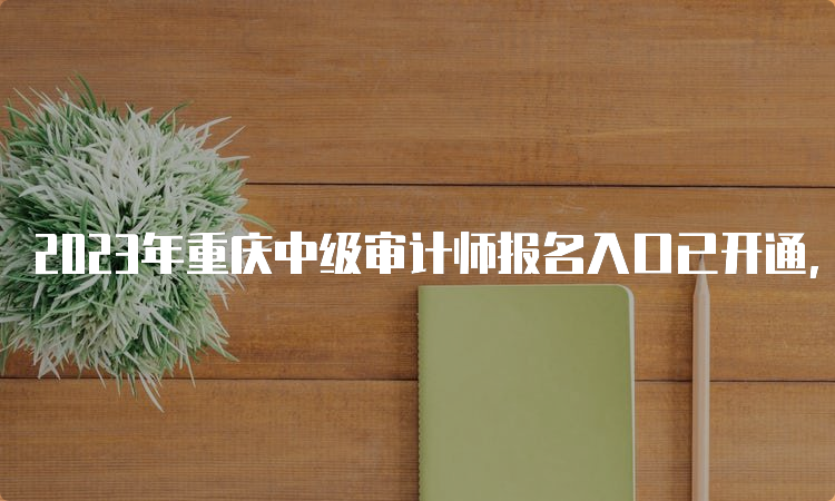 2023年重庆中级审计师报名入口已开通，如何报名？