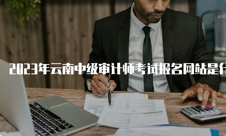 2023年云南中级审计师考试报名网站是什么？