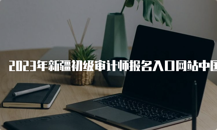 2023年新疆初级审计师报名入口网站中国人事考试网