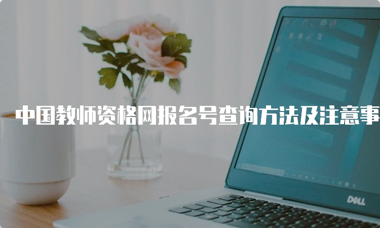 中国教师资格网报名号查询方法及注意事项