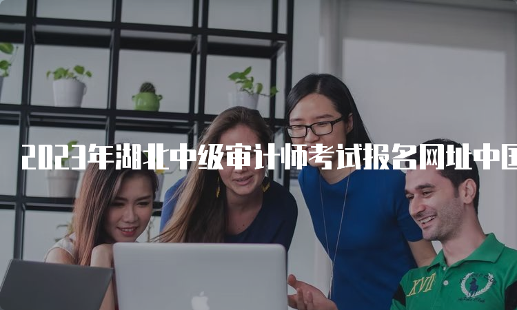 2023年湖北中级审计师考试报名网址中国人事考试网
