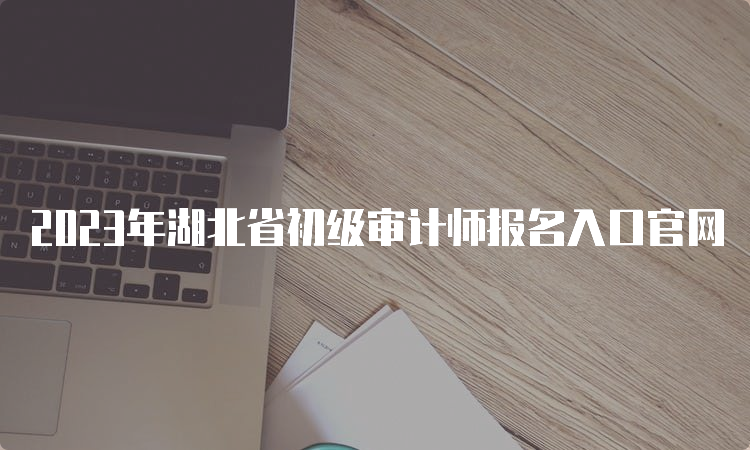 2023年湖北省初级审计师报名入口官网
