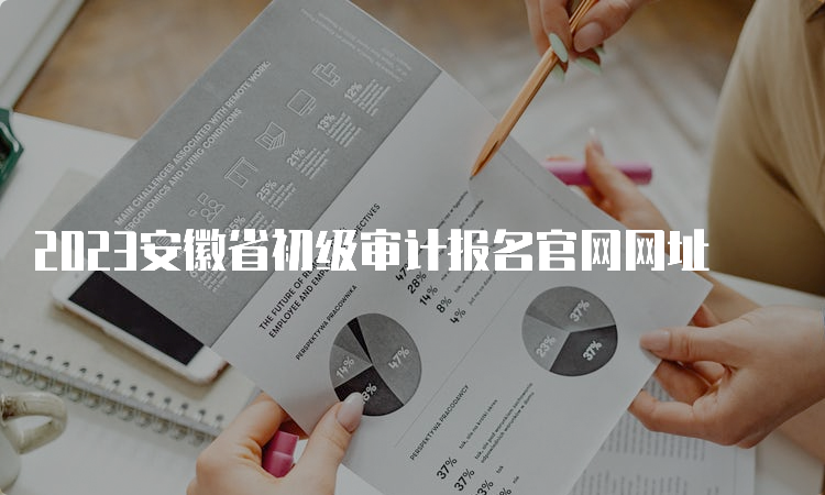 2023安徽省初级审计报名官网网址