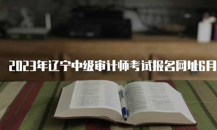 2023年辽宁中级审计师考试报名网址6月9日正式开始报名