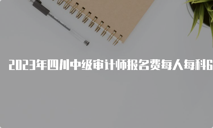 2023年四川中级审计师报名费每人每科62元(两科共124元)