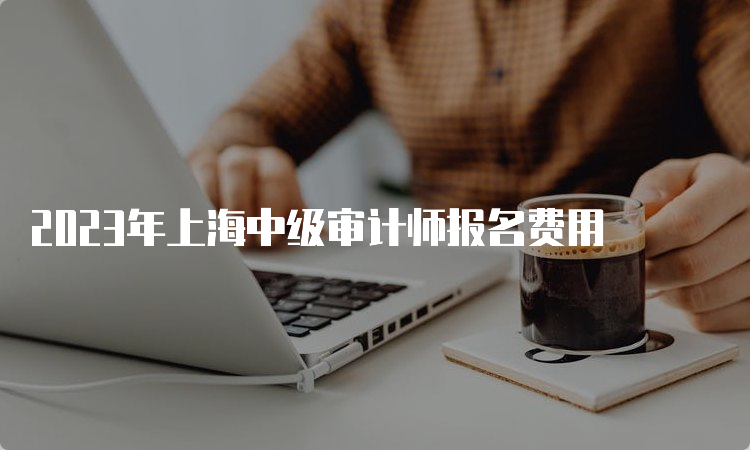 2023年上海中级审计师报名费用