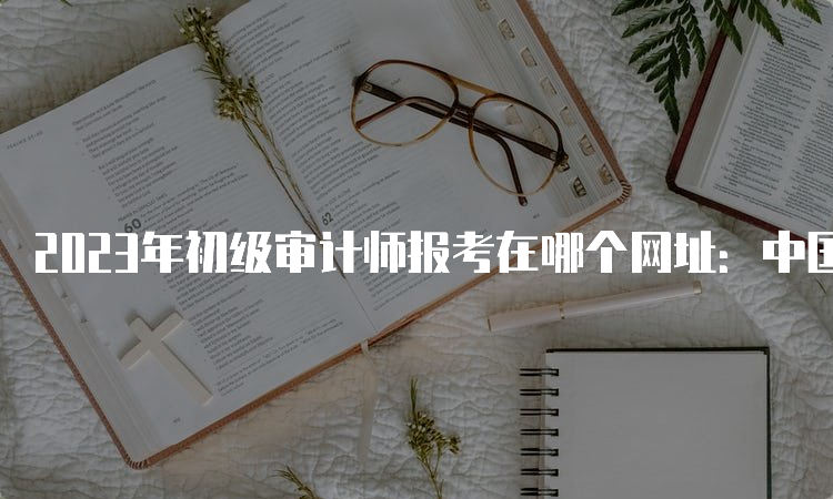 2023年初级审计师报考在哪个网址：中国人事考试网