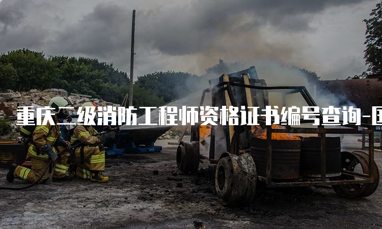 重庆二级消防工程师资格证书编号查询-国家职业资格工作网