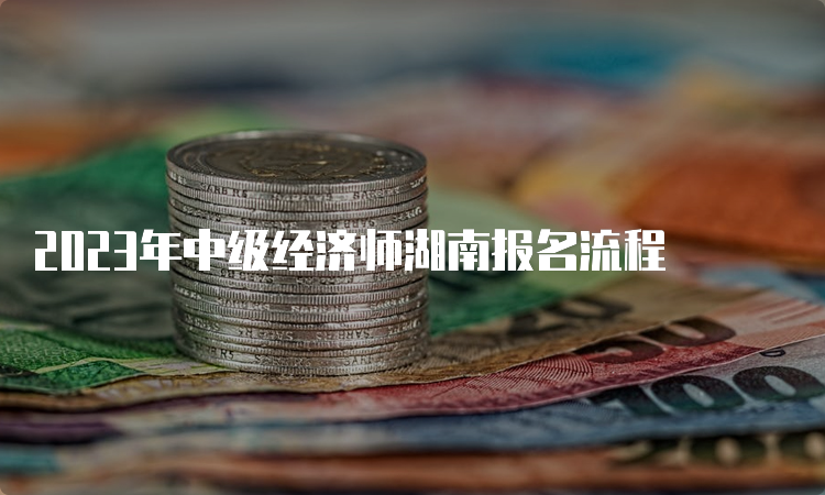 2023年中级经济师湖南报名流程