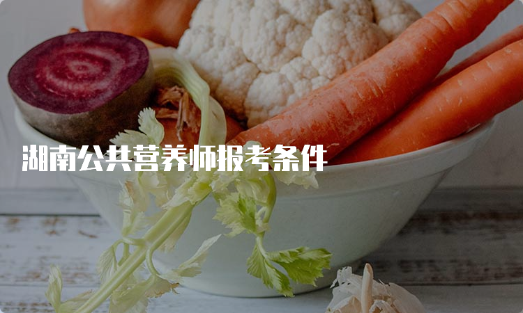 湖南公共营养师报考条件