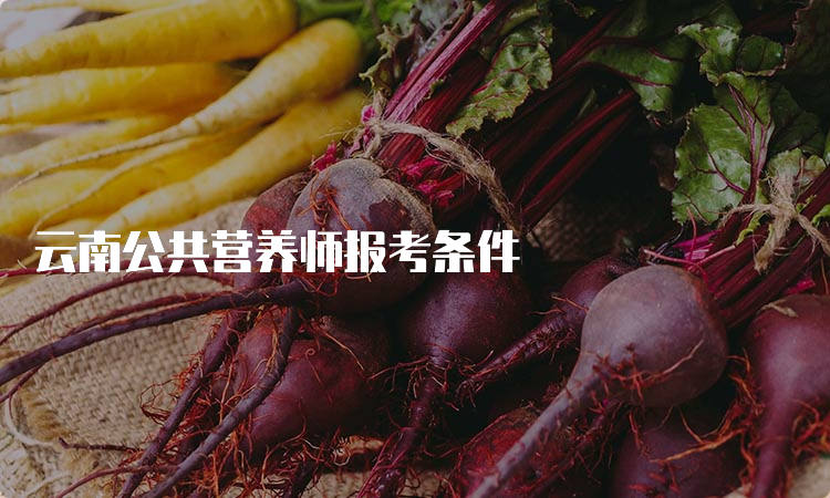 云南公共营养师报考条件