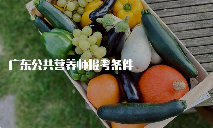 广东公共营养师报考条件