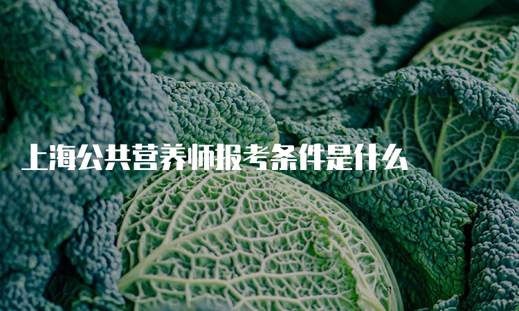 上海公共营养师报考条件是什么