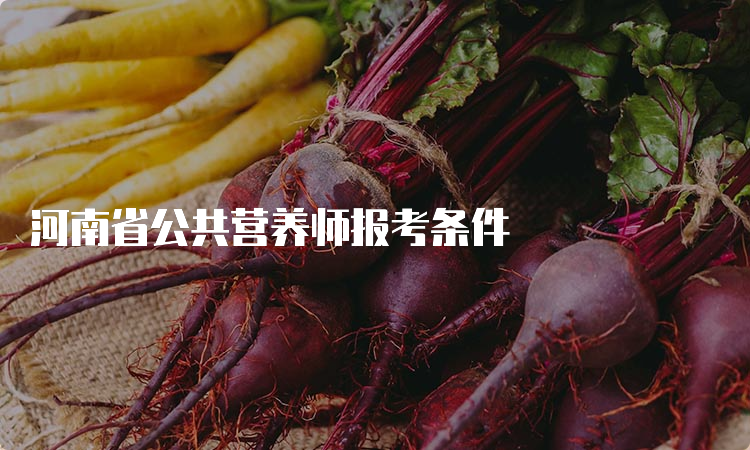 河南省公共营养师报考条件