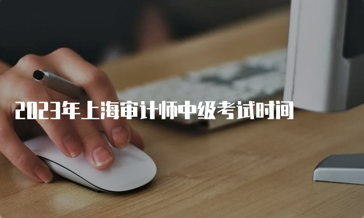 2023年上海审计师中级考试时间