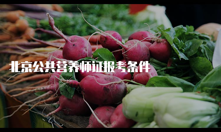 北京公共营养师证报考条件