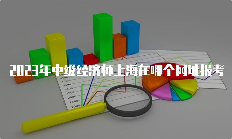 2023年中级经济师上海在哪个网址报考