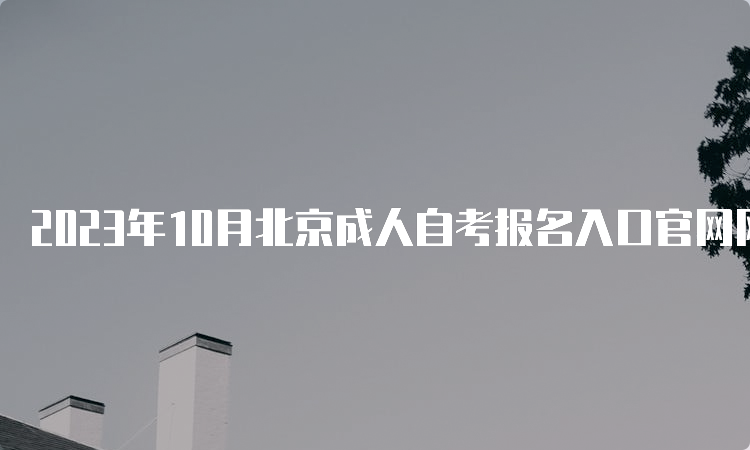 2023年10月北京成人自考报名入口官网网址是什么
