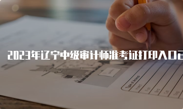 2023年辽宁中级审计师准考证打印入口已开放