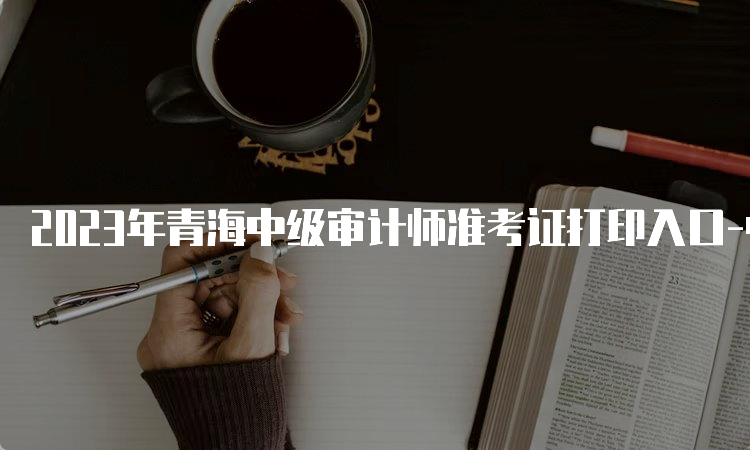 2023年青海中级审计师准考证打印入口-中国人事考试网