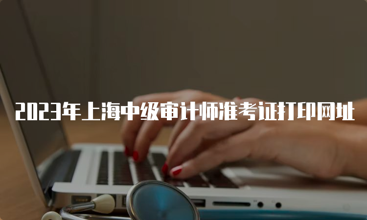 2023年上海中级审计师准考证打印网址