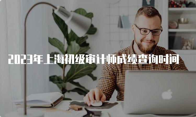 2023年上海初级审计师成绩查询时间