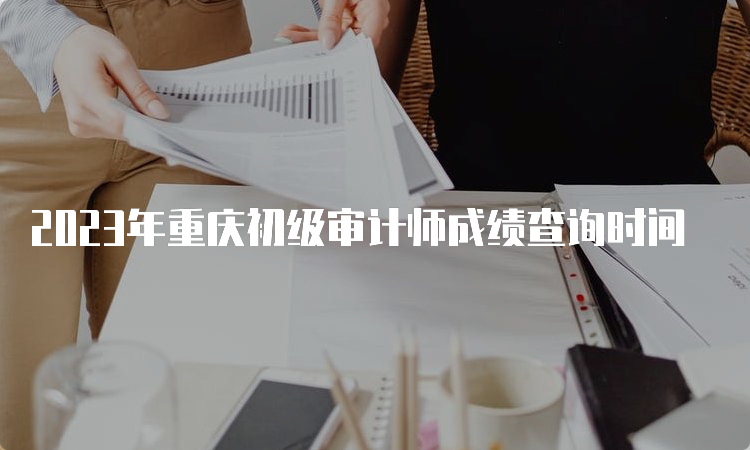 2023年重庆初级审计师成绩查询时间
