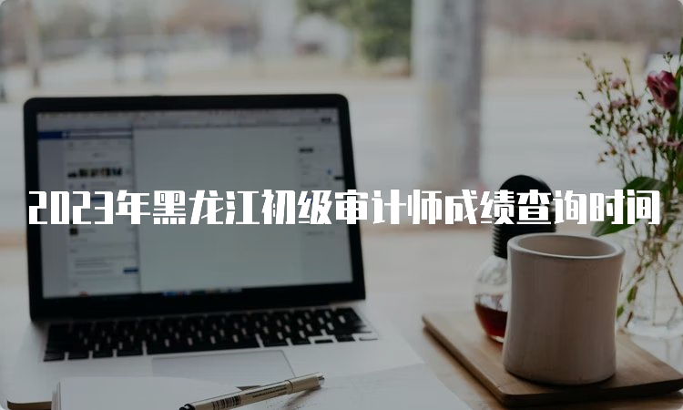 2023年黑龙江初级审计师成绩查询时间