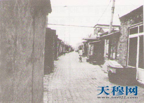 天穆村主要道路情况及地名命名一览