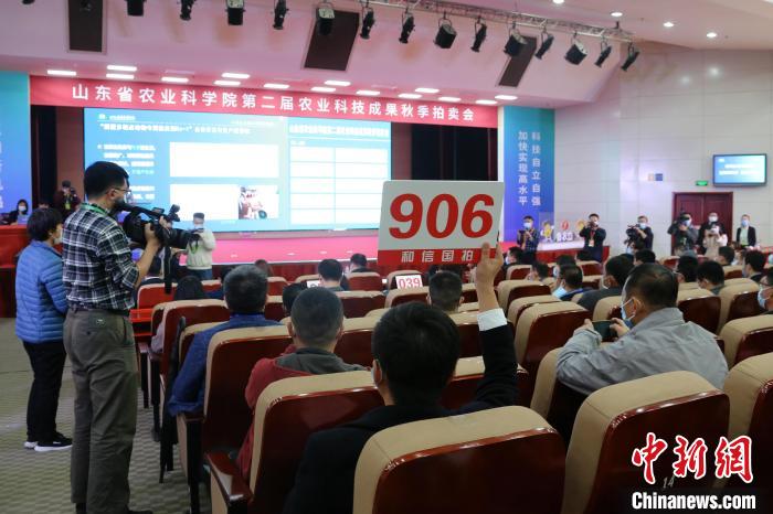 山东37项农业科技成果拍卖成交额超亿元