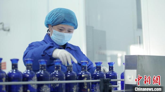 石家庄市赵龙食品有限责任公司雪梨酒罐装生产线。 朱涛 摄