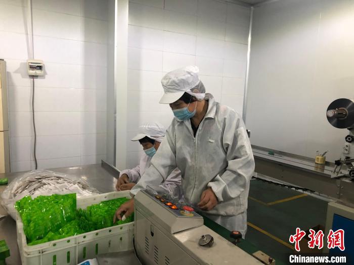 河北赵县:打好梨果“产业牌”奏响乡村“振兴曲”