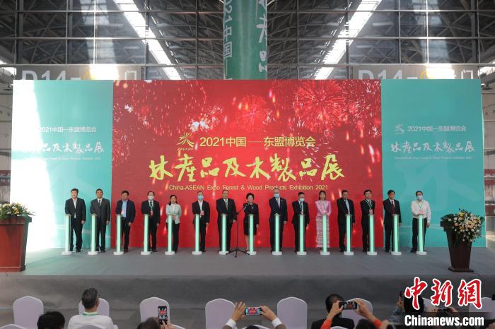 广西木材产量居全国首位加快构建超万亿元林业绿色产业