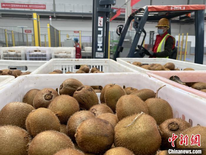 “智能链”助力陕西果农逆袭“双十一”