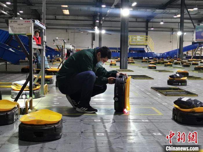 郭正谷正在检查“小黄人”快递分拣机器人。　储玮玮 摄