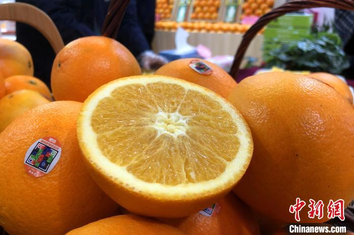 图为赣南脐橙。 吴鹏泉 摄