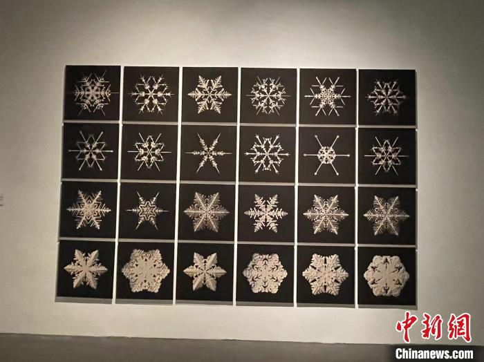 作品《雪花工场》由计算机生成。 童笑雨 摄