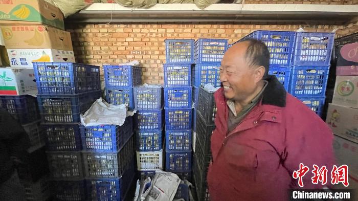 村民李明大家的仓储房内,一箱箱个大皮薄的玉露香梨整齐摆放。 杨静 摄