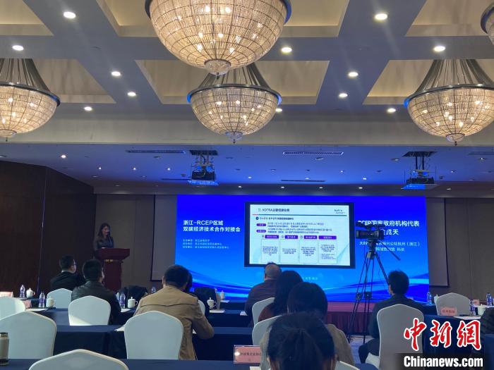 聚焦“双碳”经济浙江与RCEP区域共觅技术合作新机