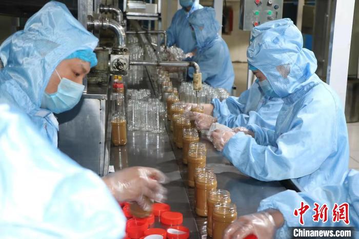 河北百年老字号芝麻酱飘香海外年出口逾4万箱