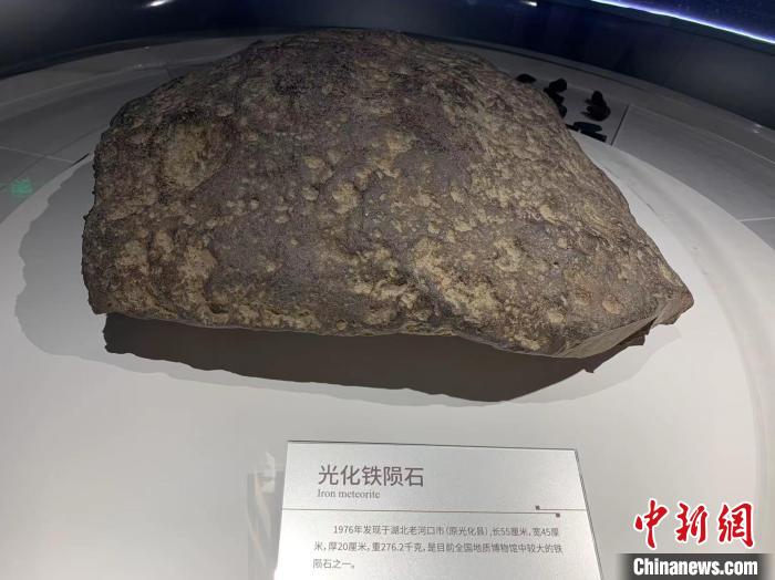 闹市中的湖北地质博物馆:珍藏标本万余件