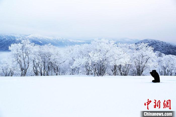 游客在敦化老白山摄影。(资料图) 敦化市委宣传部供图
