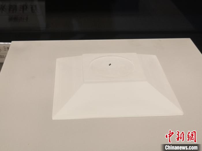 上山遗址出土的炭化稻米。 童笑雨 摄