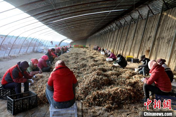 2021年青海农村居民收入持续增长消费扩容提质