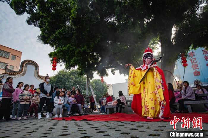 羊城三月春光好古村古树成“网红”引民众“打卡”