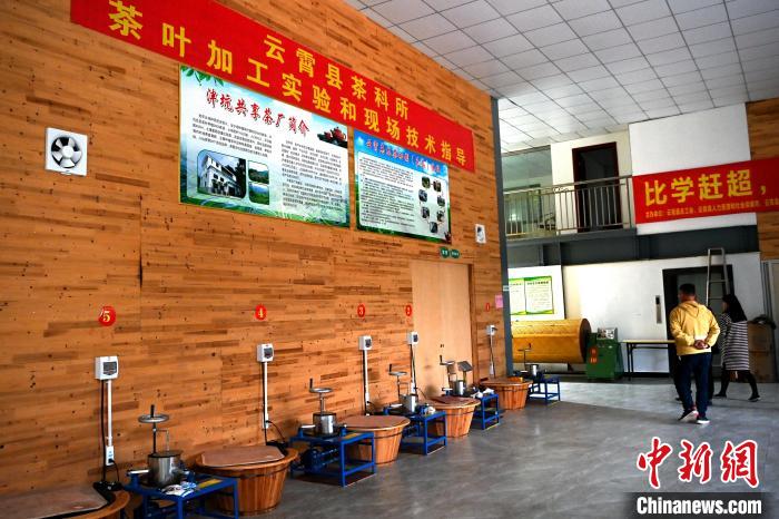 云霄县和平乡泮坑社区“共享茶厂”。　张金川 摄